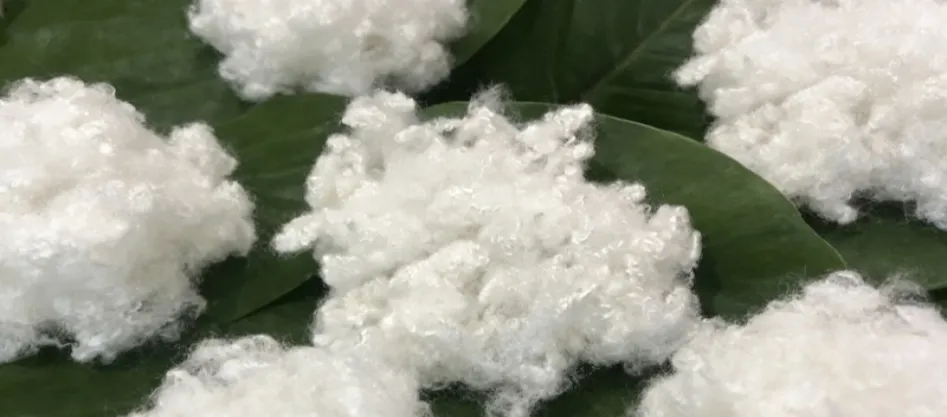 ¿Es el poliéster una fibra sintética? Algo que necesitas saber